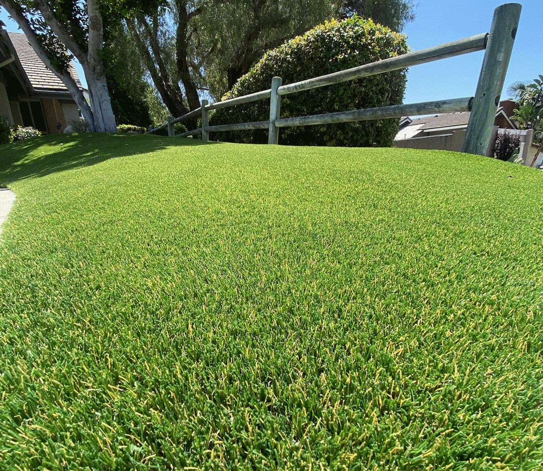 Landscape Turf