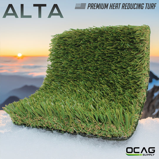 ALTA