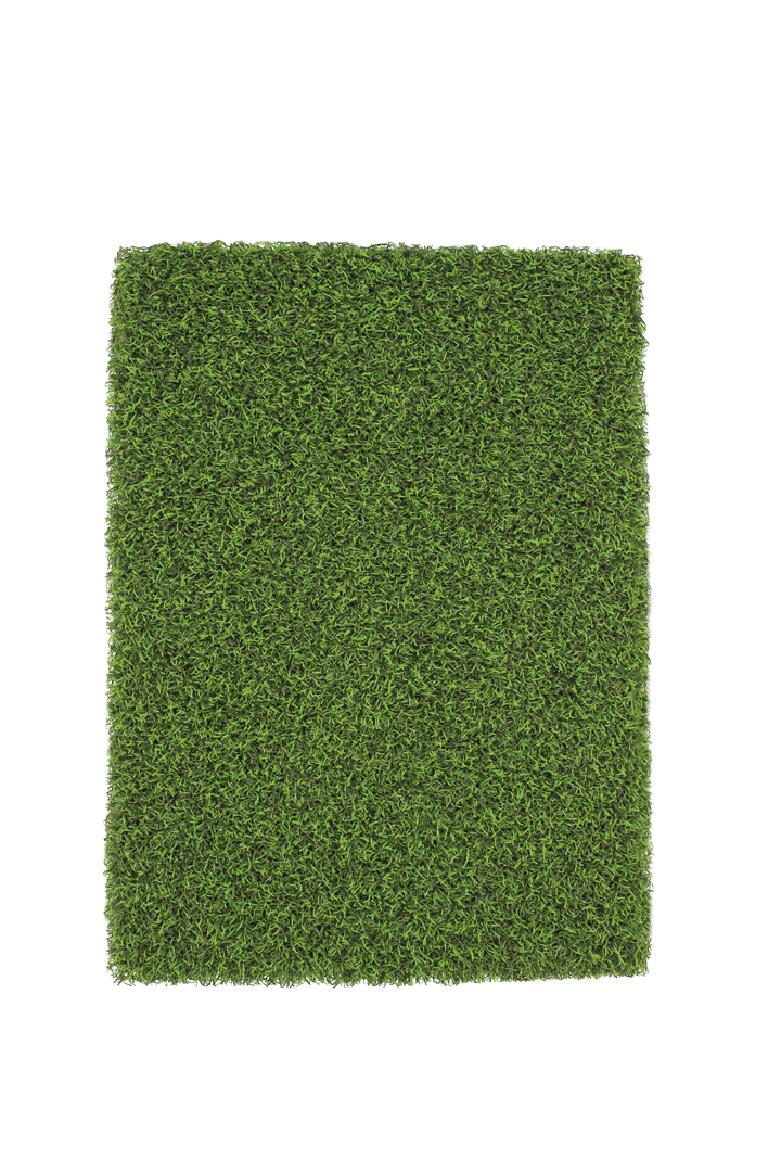 CHIP SHOT PUTTING TURF