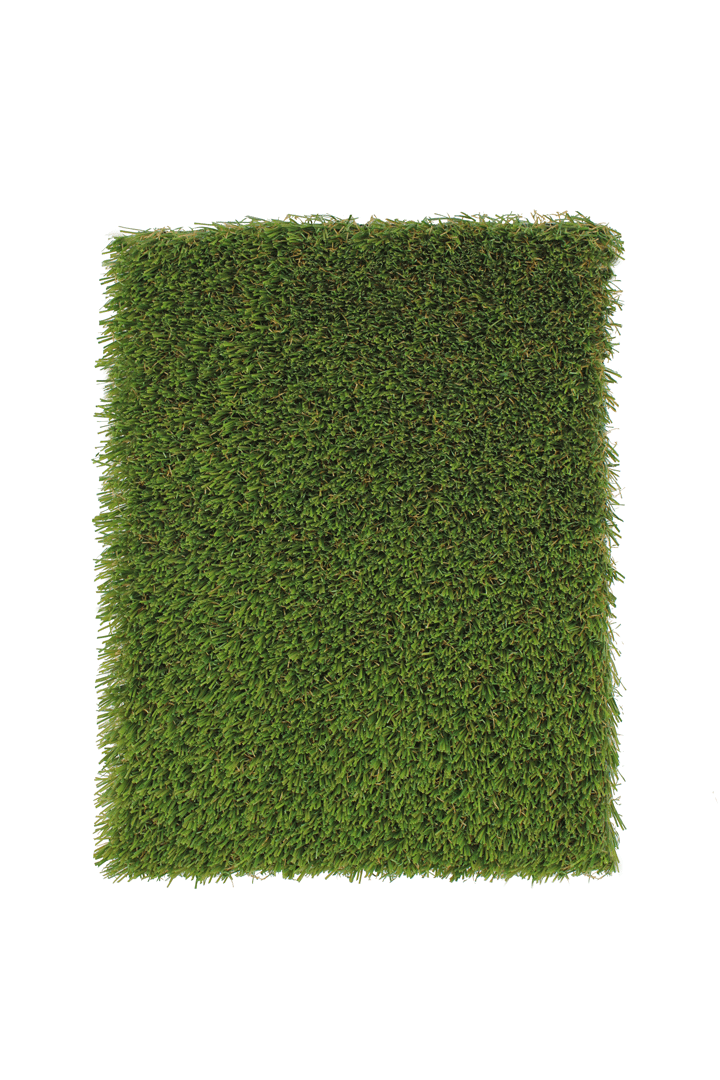FETCH PET TURF